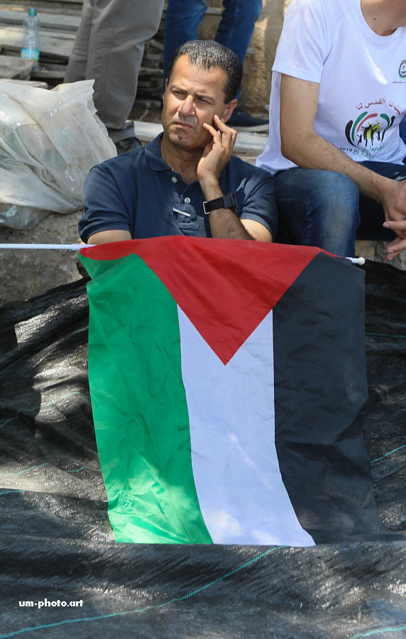  palestine_414.jpg