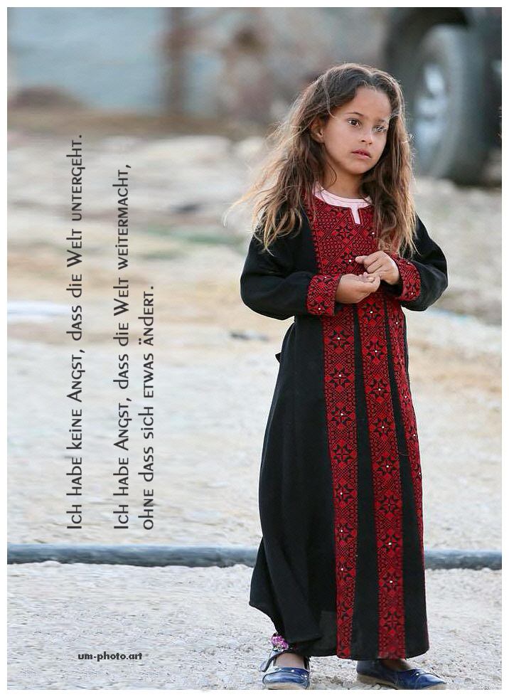  palestine_002_postcard.jpg