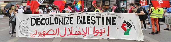 palestine_demo.jpg